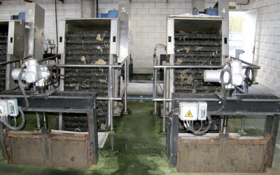 Las toallitas, a la basura